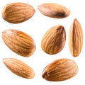 Almonds isolated on white background. Collection Royalty Free Stock Photo