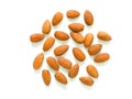 Almonds isolated on white background Royalty Free Stock Photo