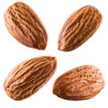 Almonds isolated on white. Collection Royalty Free Stock Photo