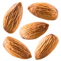 Almonds isolated on white. Collection Royalty Free Stock Photo