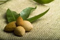Almonds (kernel and leaves) Royalty Free Stock Photo