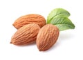 Almonds kernel with leaves Royalty Free Stock Photo