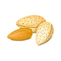 Almonds label - vector illustration Royalty Free Stock Photo
