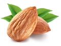 Almonds with leaves .