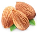 Almonds with leaves isolated. Royalty Free Stock Photo