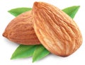 Almonds with leaves isolated. Royalty Free Stock Photo