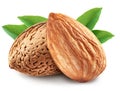 Almonds with leaves isolated. Royalty Free Stock Photo