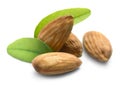 Almonds with leaves