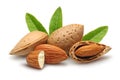 Almonds with leaves Royalty Free Stock Photo