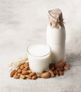 Almonds milk and oat milk Royalty Free Stock Photo