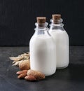 Almonds milk and milk of oats Royalty Free Stock Photo