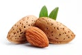 Almonds nuts . Royalty Free Stock Photo