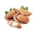 Almonds nuts . Royalty Free Stock Photo