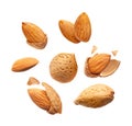 Almonds nuts collection isolated