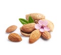 Almonds nuts with flowers Royalty Free Stock Photo