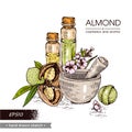 Almonds with nuts, flowers, essential oils and mortar