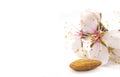 Almonds nuts with flowers Royalty Free Stock Photo