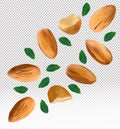 Almonds nuts with green leaf on transparent background. Almond flying from different angles. 3D realistic nuts rich in