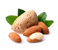 Almonds nuts with leaves Royalty Free Stock Photo
