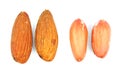 Almonds and peanuts on a white background Royalty Free Stock Photo