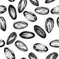 Almonds seamless vector background