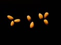 Almonds seed isolated background Royalty Free Stock Photo