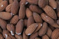almonds seeds texture