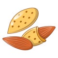 Almonds shell icon, cartoon style