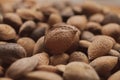 Almonds in their shells. Close up view of heap of almonds as texture and background. Organic and healthy food