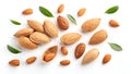 Scattered Almonds and Leaves on White background Royalty Free Stock Photo