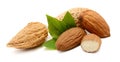 Almonds in their skins and peeled with leaf isolated on white background. Set or collection. Royalty Free Stock Photo