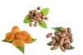 Almonds, walnut, dry raisin, dried apricots in one collection on white
