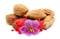 Almonds nuts. Royalty Free Stock Photo