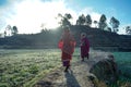 Almora, Uttrakhand / India- May 30 2020 : Village women going to the fields in a beautiful morning in the mountains