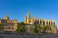 Almudaina and cathedral of Palma Royalty Free Stock Photo