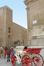 Almudaina palace and Cathedral of Palma de Majorca Royalty Free Stock Photo