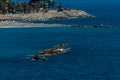 ALMUNECAR, SPAIN - JUNE 8, 2018 View of the tourist town of Almunecar on the Costa Tropical in Spain