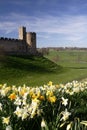 Alnwick castle Royalty Free Stock Photo