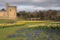 Alnwick castle