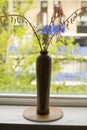 Aloe Aristata in brown vase in windowsill