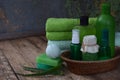 Aloe composition of beauty threatment products in green colors on brown wooden background: shampoo, soap, bath salt, towel, oil. V Royalty Free Stock Photo