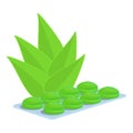 Aloe cough drops icon, cartoon style