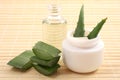Aloe cream and oil Royalty Free Stock Photo