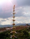 Aloe Flower