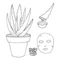 Aloe. Hand-drawn aloe bush, face mask, aloe juice.