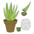 Aloe. Hand-drawn aloe bush, face mask, aloe juice.