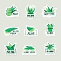 Aloe logo. Botanical healthy plant symbols recent vector aloe vera badges with place for text Royalty Free Stock Photo