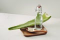 Aloe pieces, fresh leaves and bottle glass on a white background Royalty Free Stock Photo