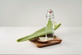 Aloe pieces, fresh leaves and bottle glass on a white background Royalty Free Stock Photo