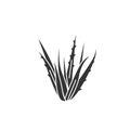 Aloe plant black glyph icon. Plant that used both internally and externally on humans as folk or alternative medicine. Pictogram